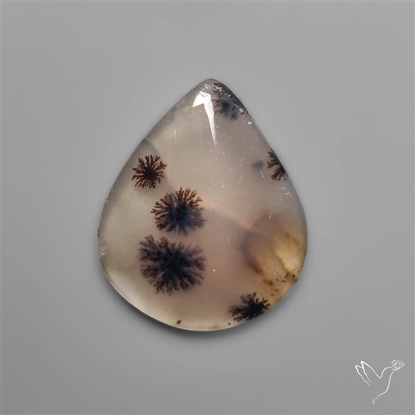 Scenic dendritic agate with natural landscape-like patterns